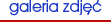 Galeria zdj��